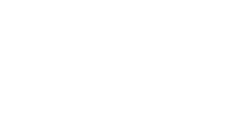 viyonic.com